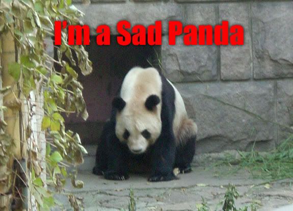 https://i210.photobucket.com/albums/bb31/lulzhax/Snedds_sad_panda.jpg?t=1186413527