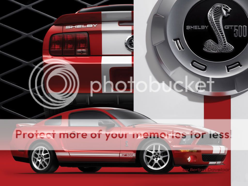 Ford layout mustang myspace #4